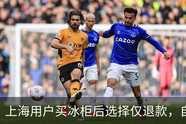 上海用户买冰柜后选择仅退款，自称冰柜"已销毁"无法退货，商家跨省索要后发现冰柜正插电使用，结局亮了